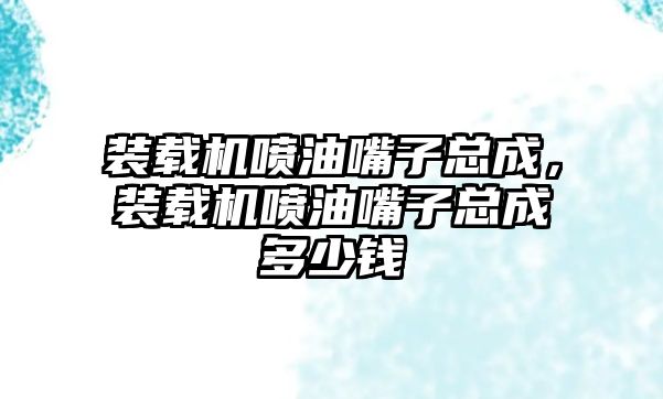 裝載機噴油嘴子總成，裝載機噴油嘴子總成多少錢