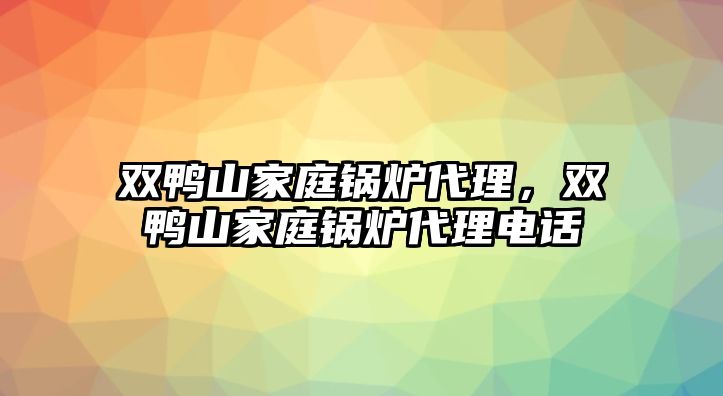 雙鴨山家庭鍋爐代理，雙鴨山家庭鍋爐代理電話