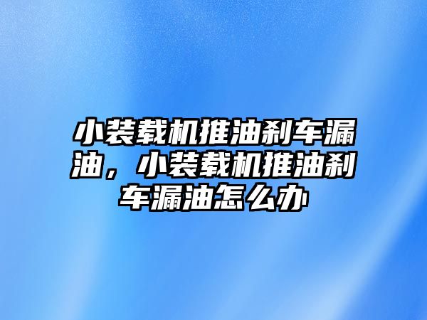 小裝載機(jī)推油剎車漏油，小裝載機(jī)推油剎車漏油怎么辦