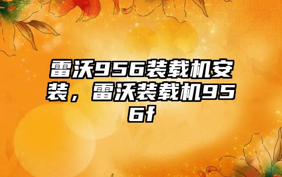 雷沃956裝載機安裝，雷沃裝載機956f