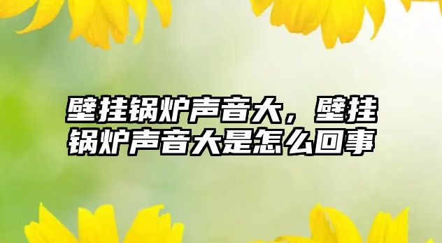 壁掛鍋爐聲音大，壁掛鍋爐聲音大是怎么回事