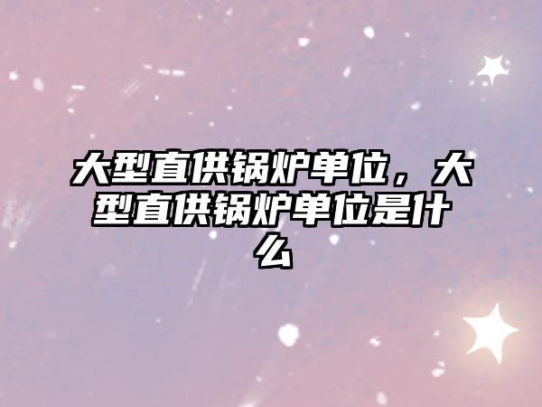 大型直供鍋爐單位，大型直供鍋爐單位是什么