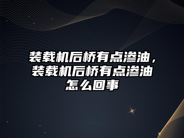 裝載機后橋有點滲油，裝載機后橋有點滲油怎么回事