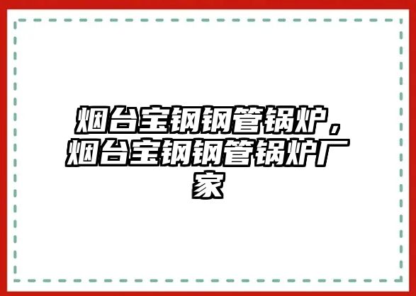 煙臺(tái)寶鋼鋼管鍋爐，煙臺(tái)寶鋼鋼管鍋爐廠家