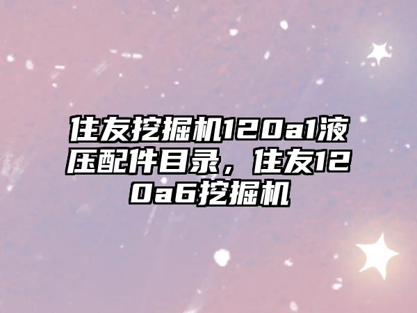 住友挖掘機(jī)120a1液壓配件目錄，住友120a6挖掘機(jī)