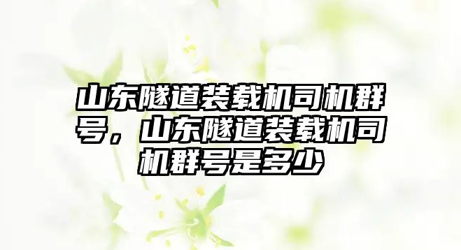 山東隧道裝載機(jī)司機(jī)群號(hào)，山東隧道裝載機(jī)司機(jī)群號(hào)是多少