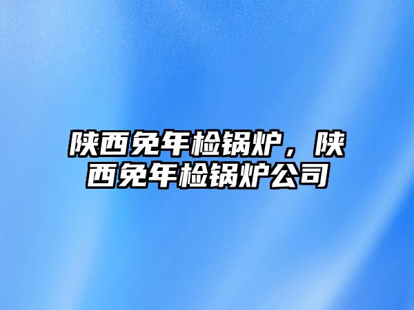 陜西免年檢鍋爐，陜西免年檢鍋爐公司