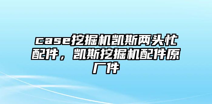 case挖掘機(jī)凱斯兩頭忙配件，凱斯挖掘機(jī)配件原廠件