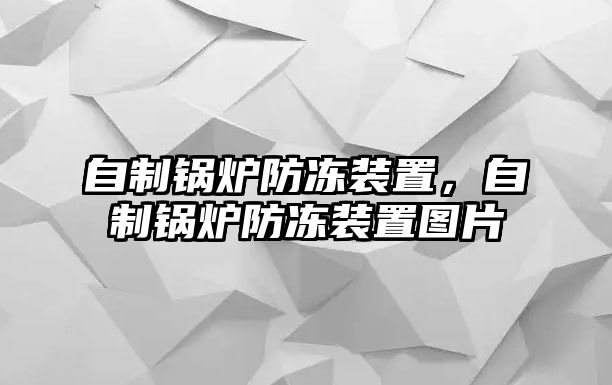 自制鍋爐防凍裝置，自制鍋爐防凍裝置圖片