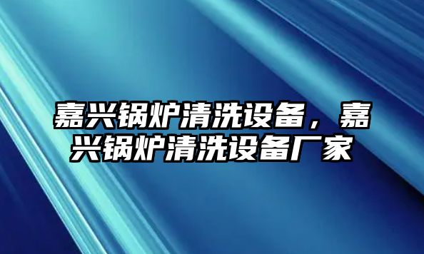 嘉興鍋爐清洗設(shè)備，嘉興鍋爐清洗設(shè)備廠家