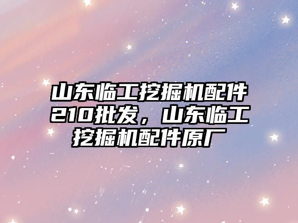 山東臨工挖掘機配件210批發(fā)，山東臨工挖掘機配件原廠