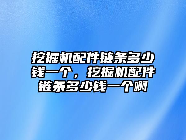 挖掘機(jī)配件鏈條多少錢(qián)一個(gè)，挖掘機(jī)配件鏈條多少錢(qián)一個(gè)啊