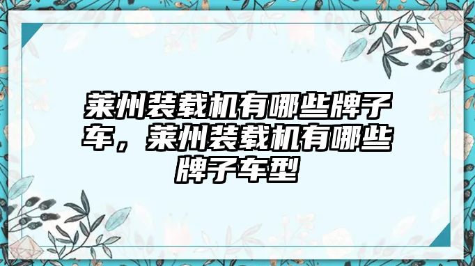 萊州裝載機(jī)有哪些牌子車，萊州裝載機(jī)有哪些牌子車型