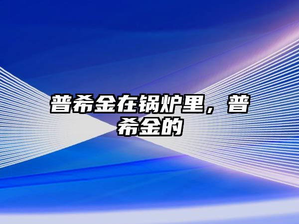 普希金在鍋爐里，普希金的