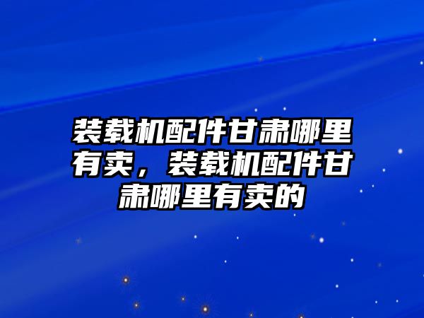 裝載機配件甘肅哪里有賣，裝載機配件甘肅哪里有賣的