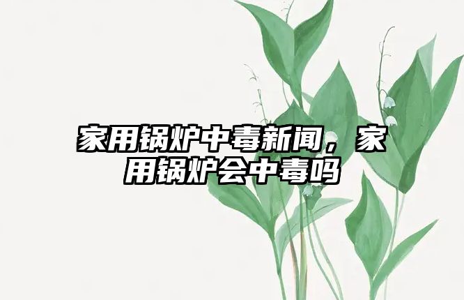 家用鍋爐中毒新聞，家用鍋爐會中毒嗎