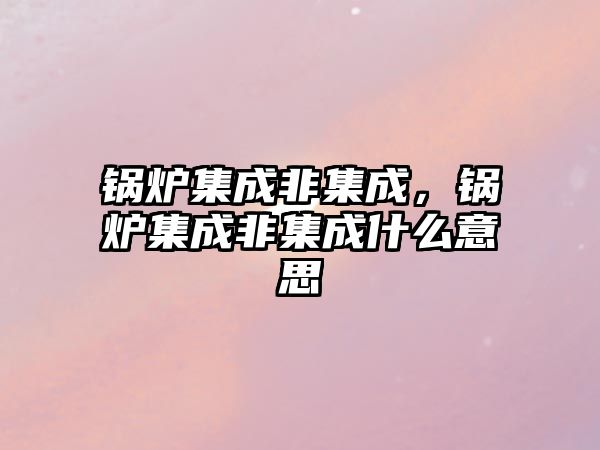 鍋爐集成非集成，鍋爐集成非集成什么意思