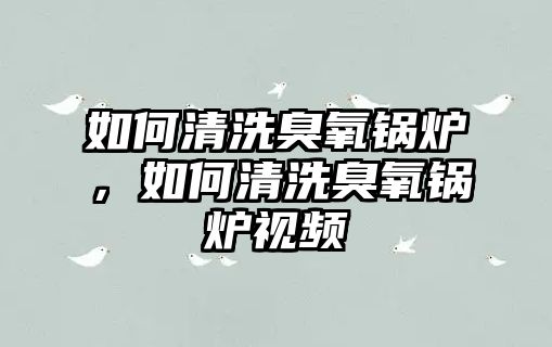 如何清洗臭氧鍋爐，如何清洗臭氧鍋爐視頻