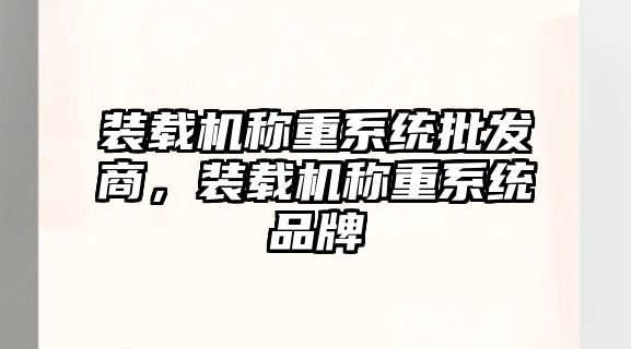 裝載機稱重系統(tǒng)批發(fā)商，裝載機稱重系統(tǒng)品牌