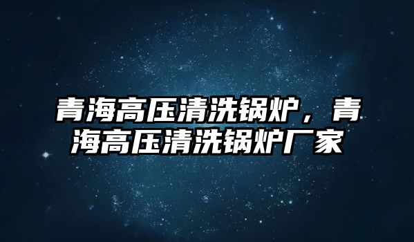 青海高壓清洗鍋爐，青海高壓清洗鍋爐廠家