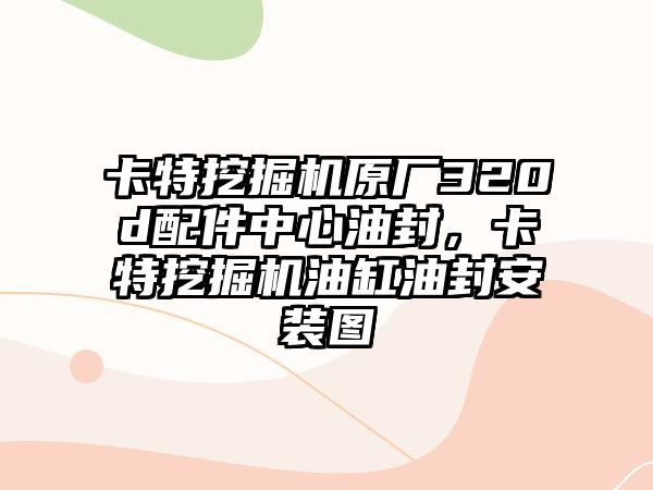 卡特挖掘機(jī)原廠320d配件中心油封，卡特挖掘機(jī)油缸油封安裝圖