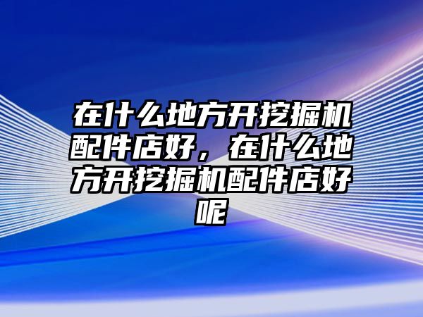 在什么地方開挖掘機(jī)配件店好，在什么地方開挖掘機(jī)配件店好呢