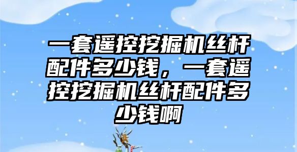 一套遙控挖掘機(jī)絲桿配件多少錢，一套遙控挖掘機(jī)絲桿配件多少錢啊