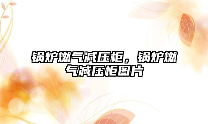 鍋爐燃?xì)鉁p壓柜，鍋爐燃?xì)鉁p壓柜圖片