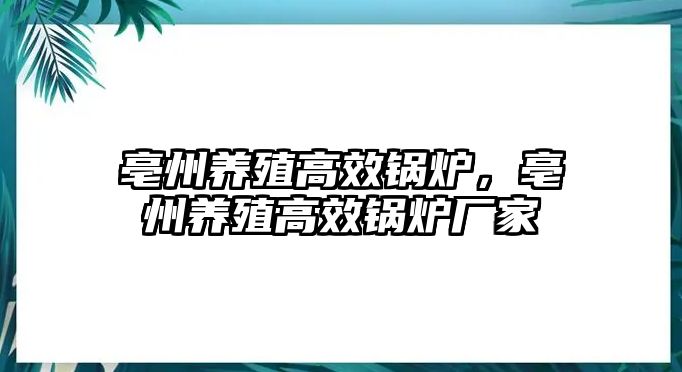 亳州養(yǎng)殖高效鍋爐，亳州養(yǎng)殖高效鍋爐廠家