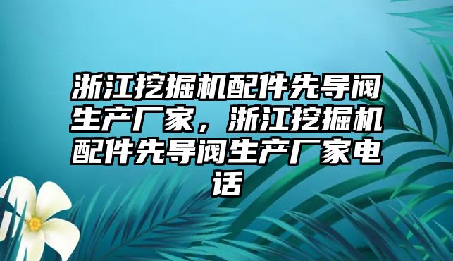 浙江挖掘機配件先導閥生產(chǎn)廠家，浙江挖掘機配件先導閥生產(chǎn)廠家電話