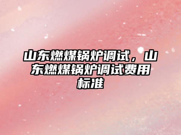 山東燃煤鍋爐調試，山東燃煤鍋爐調試費用標準