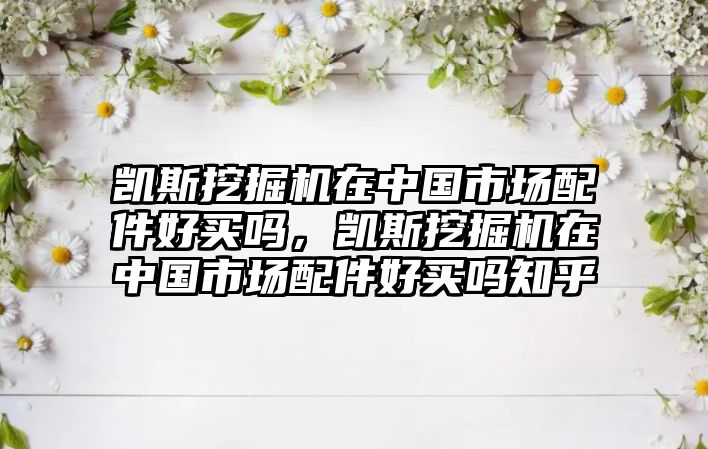 凱斯挖掘機在中國市場配件好買嗎，凱斯挖掘機在中國市場配件好買嗎知乎