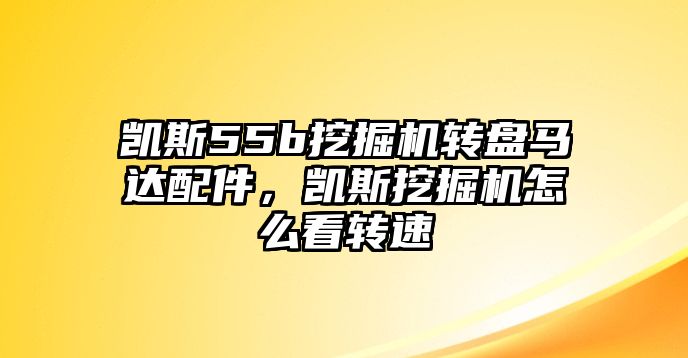 凱斯55b挖掘機(jī)轉(zhuǎn)盤馬達(dá)配件，凱斯挖掘機(jī)怎么看轉(zhuǎn)速