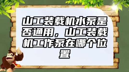 山工裝載機(jī)水泵是否通用，山工裝載機(jī)工作泵在哪個位置