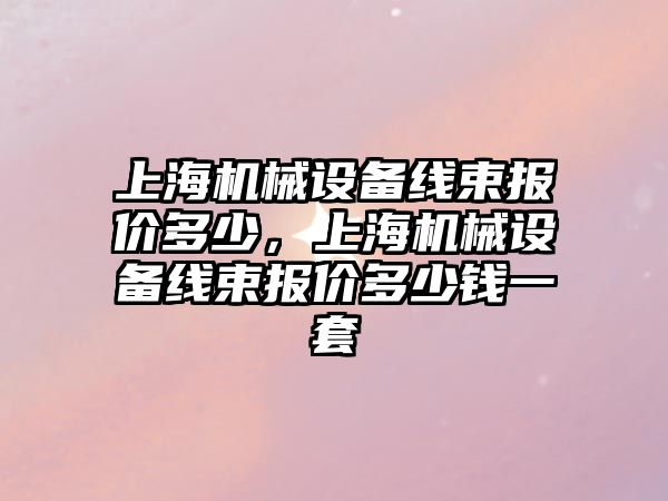 上海機械設備線束報價多少，上海機械設備線束報價多少錢一套