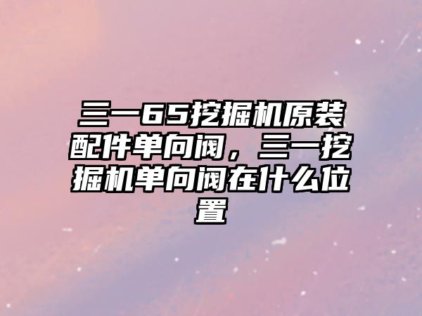 三一65挖掘機(jī)原裝配件單向閥，三一挖掘機(jī)單向閥在什么位置