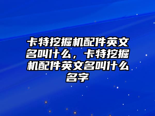 卡特挖掘機(jī)配件英文名叫什么，卡特挖掘機(jī)配件英文名叫什么名字