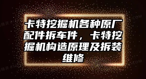 卡特挖掘機(jī)各種原廠配件拆車件，卡特挖掘機(jī)構(gòu)造原理及拆裝維修