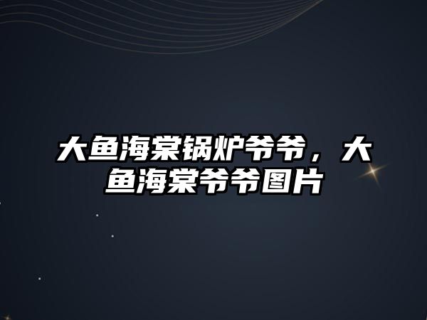 大魚海棠鍋爐爺爺，大魚海棠爺爺圖片