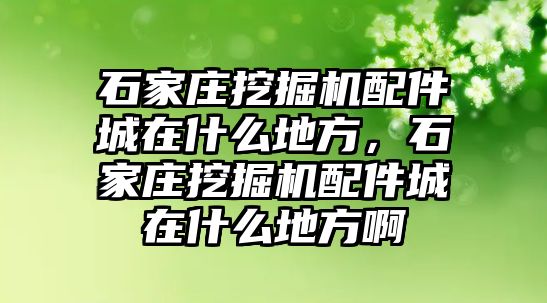 石家莊挖掘機(jī)配件城在什么地方，石家莊挖掘機(jī)配件城在什么地方啊