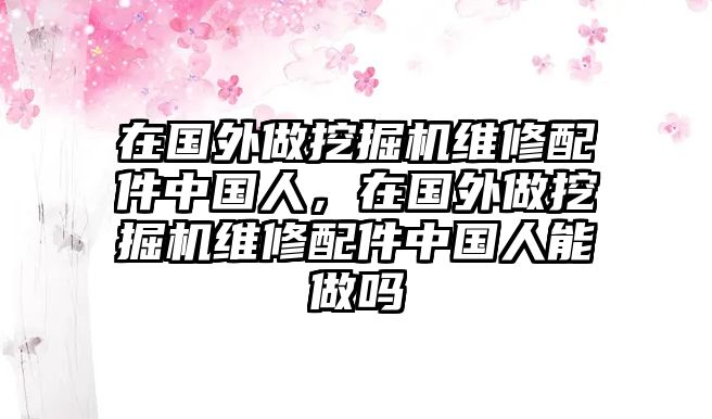 在國(guó)外做挖掘機(jī)維修配件中國(guó)人，在國(guó)外做挖掘機(jī)維修配件中國(guó)人能做嗎