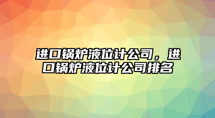 進(jìn)口鍋爐液位計(jì)公司，進(jìn)口鍋爐液位計(jì)公司排名