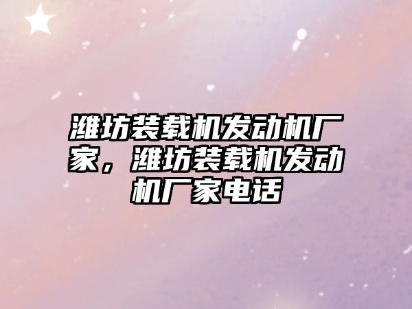 濰坊裝載機發(fā)動機廠家，濰坊裝載機發(fā)動機廠家電話