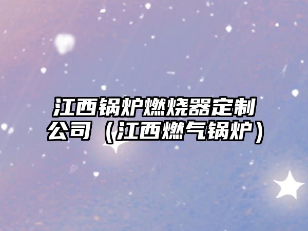 江西鍋爐燃燒器定制公司（江西燃?xì)忮仩t）