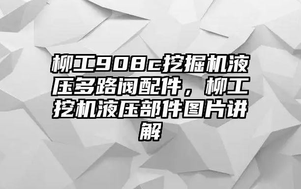 柳工908c挖掘機(jī)液壓多路閥配件，柳工挖機(jī)液壓部件圖片講解