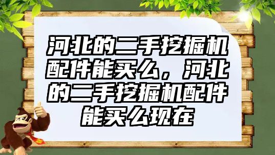 河北的二手挖掘機(jī)配件能買么，河北的二手挖掘機(jī)配件能買么現(xiàn)在