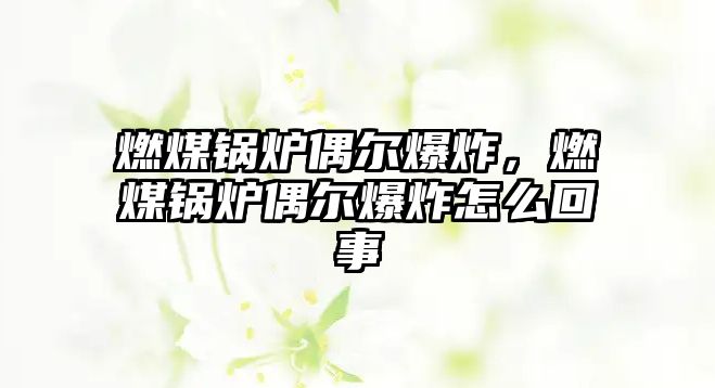 燃煤鍋爐偶爾爆炸，燃煤鍋爐偶爾爆炸怎么回事