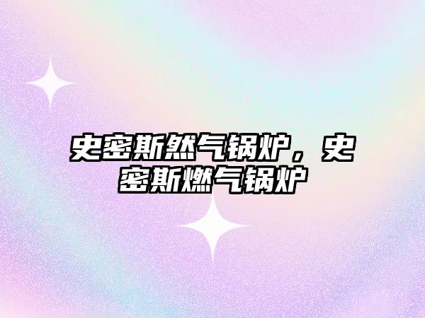 史密斯然氣鍋爐，史密斯燃?xì)忮仩t