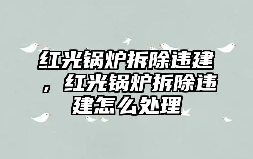 紅光鍋爐拆除違建，紅光鍋爐拆除違建怎么處理