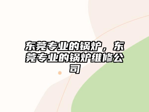 東莞專業(yè)的鍋爐，東莞專業(yè)的鍋爐維修公司